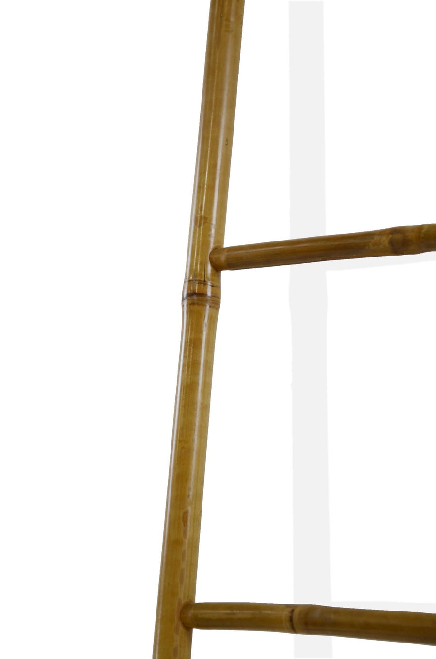 Bamboo Ladder