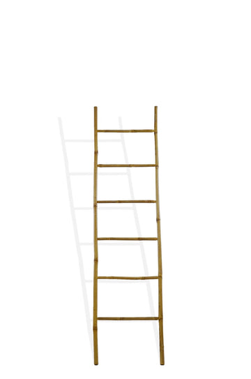 Bamboo Ladder